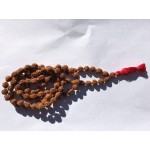 Small Rudraksha  Chanting Beads